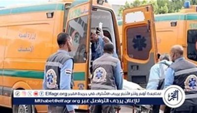 مصرع موظفة بديوان عام محافظة المنيا