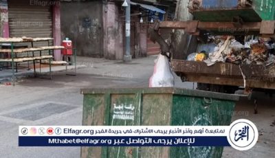 محافظ الدقهلية:رفع 530 طن مخلفات بلدية وتجمعات قمامة في حملة نظافة بالمنصورة