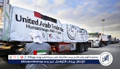 سرقة حمولة 23 شاحنة مساعدات إماراتية في غزة.. واتهامات لإسرائيل باختفائها