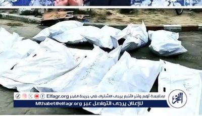 مجزرة جديدة في غزة.. الطبيبة آلاء النجار تفقد 9 من أطفالها بغارة إسرائيلية