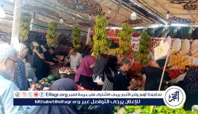 استمرار انطلاق أسواق اليوم الواحد الجمعة والسبت كل أسبوع بمدينة المنصورة