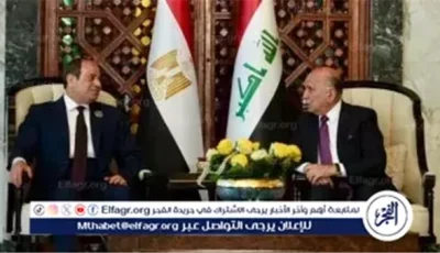 مصر تعرض رؤيتها للقضايا العربية والإقليمية بقمة بغداد