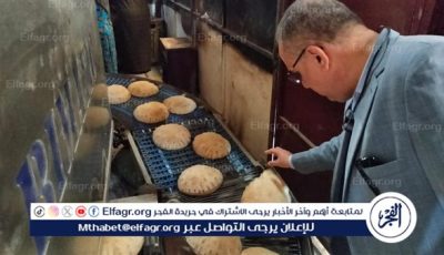 ضبط 25 طن دقيق ولحوم ومخللات وملح مجهول المصدر وتحرير 366 مخالفة بالدقهلية