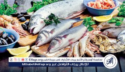 أسعار السمك اليوم الاربعاء 21-5-2025 في محافظة قنا