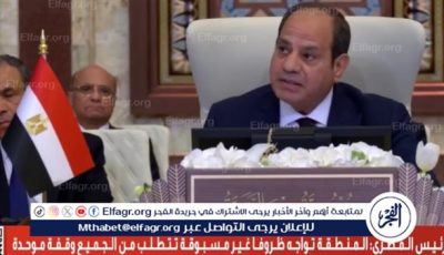 كلمة الرئيس في القمة العربية تعبر عن الموقف المصري الصلب والثابت تجاه القضية الفلسطينية