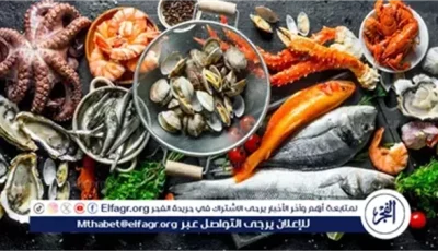 أسعار المأكولات البحرية والجمبري اليوم الجمعة 23-5-2025 في محافظة قنا