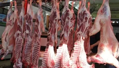 أسعار اللحوم الجملي والضاني اليوم السبت 24-5-2025 في الأسواق ومحال الجزارة بقنا