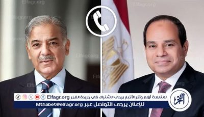 تأكيد على وقف النار بين نيودلهي وإسلام آباد وتنسيق مشترك لدعم غزة