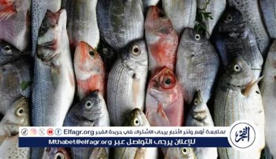 تعرف على أسعار الأسماك اليوم الأحد الموافق 18-5-2025 فى سوهاج
