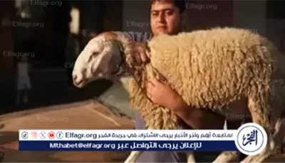 أضحية واحدة تكفي عن أهل البيت جميعًا مهما بلغ عددهم