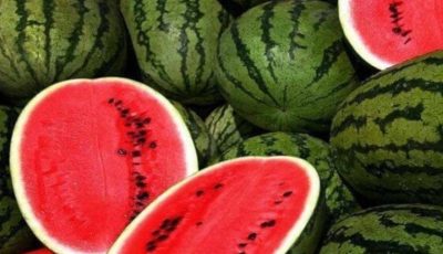 ليس مجرد فاكهة منعشة: اكتشف 5 مميزات للبطيخ واحذر من 3 أضرار خفية
