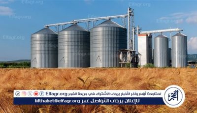 قفزة قياسية في توريد القمح بمحافظة الفيوم خلال موسم 2025