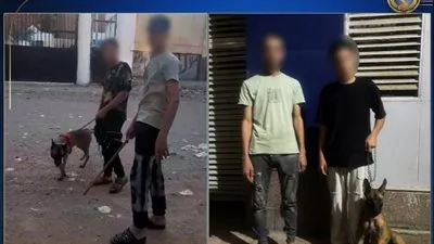 الشرطة توضح حقيقة فيديو للبلطجة وترهيب الأطفال باستخدام كلب في القليوبية