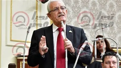 الوحدة الوطنية وتمثيل مختلف التيارات السياسية يعدان أكثر أهمية من خلق بيئة سياسية مناسبة.