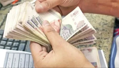 مواعيد الصرف، الفئات المستفيدة، وإجراءات الاستعلام عبر الإنترنت.