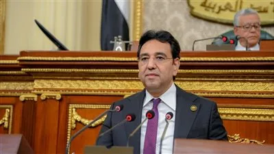 مصر تتحمل التزامها التاريخي نحو فلسطين.. ويدعو المجتمع الدولي لدعم مساعيها لفرض وقف إطلاق النار