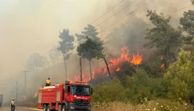 قمنا بالسيطرة على أغلب الحرائق في اللاذقية