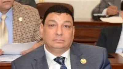 انتخابات مجلس الشيوخ تُعدّ خطوة إضافية لتعزيز الديمقراطية