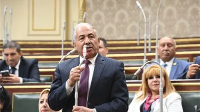 القيادة المصرية تعتبر مستقبل القارة الإفريقية من أهم أولوياتها