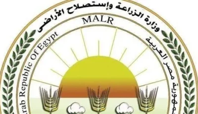 “الزراعة” تواصل مساعيها لتعزيز مفهوم الزراعة التعاقدية وتثقيف المزارعين حول فوائدها في تسويق المحاصيل.