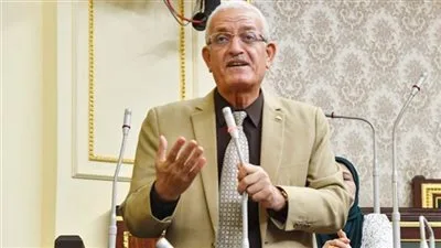 النائب عاطف المغاوري ينبه الناخبين من الانجرار وراء نائب الخدمات