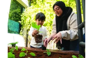 براعم تزرع 2500 نبتة في أبوظبي
