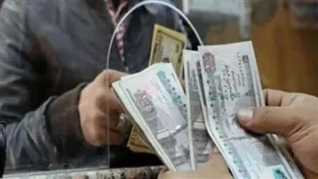 قانون التأمينات يحدد الفئات التي تستحق معاش العمالة الحرة.