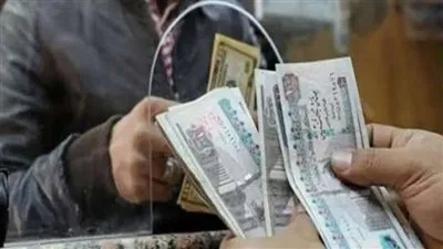 قانون التأمينات يحدد الفئات التي تستحق معاش العمالة الحرة.
