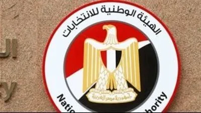 إجراءات جديدة لتنظيم تصويت المصريين في الخارج خلال انتخابات مجلس الشيوخ