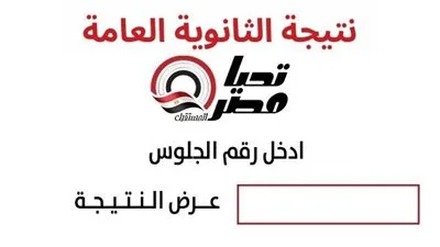 احصل على نتيجتك باستخدام رقم جلوسك بمجرد ظهورها.. رابط مباشر وسريع لنتيجة الثانوية العامة 2025.