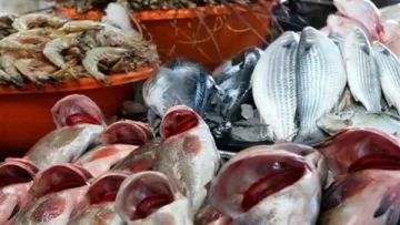 استقرار ملحوظ في سوق العبور