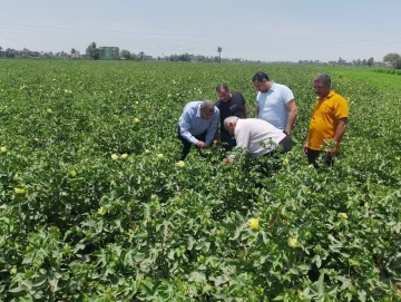 محافظ أسيوط يؤكد أهمية دعم المزارعين.. ووكيل وزارة الزراعة يقوم بجولة تفقدية لمراقبة المحاصيل في أبوتيج
