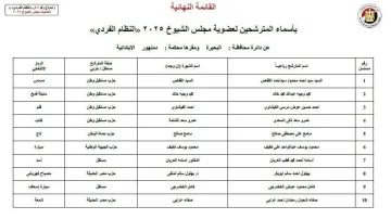 الهيئة الوطنية للانتخابات تكشف عن 21 مرشحًا فرديًا يتنافسون على 6 مقاعد في مجلس الشيوخ بالبحيرة
