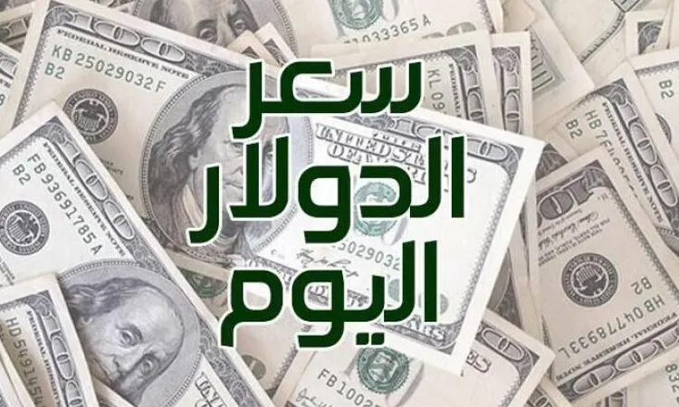 أسعار الدولار اليوم الأحد 31 أغسطس 2025: تعرف على أحدث الأسعار!