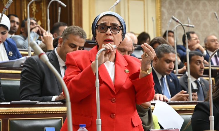 برلمانية تنتقد وضع الحواجز أمام السفارات وتناشد وزير الخارجية بالتدخل