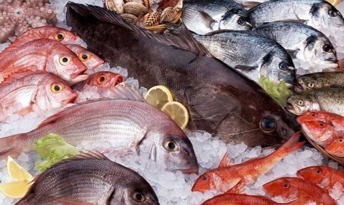 أسعار السمك.. تعرف على البلطي اليوم.. تكاليف جديدة للمستهلك