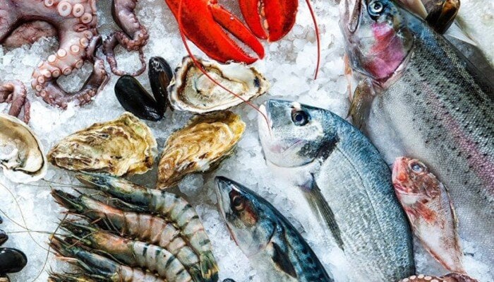 أسعار السمك والجمبري في السوق اليوم الثلاثاء 2 سبتمبر 2025