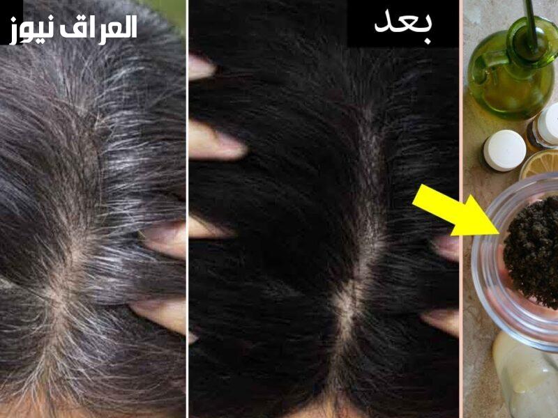 استرجع لون شعرك.. طرق التخلص من الشيب المبكر بشكل طبيعي