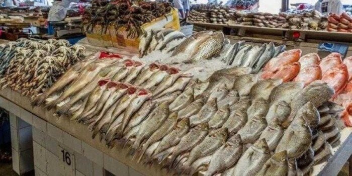 أسعار السمك والجمبري اليوم الاثنين 1 سبتمبر 2025: تحديثات هامة