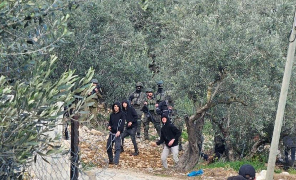 نصفها مرتبط بموسم الزيتون.. (أوتشا) توثّق 71 هجوما للمستوطنين في الضفة خلال أسبوع