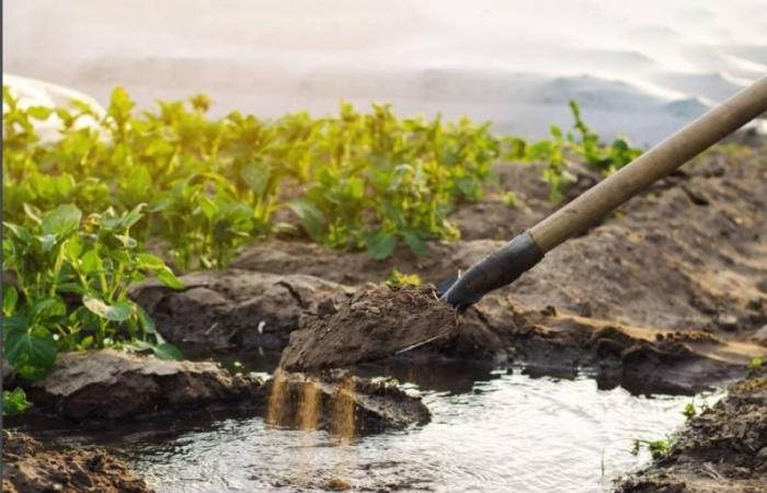 6 مخاطر مرتبطة بالتغير المناخي