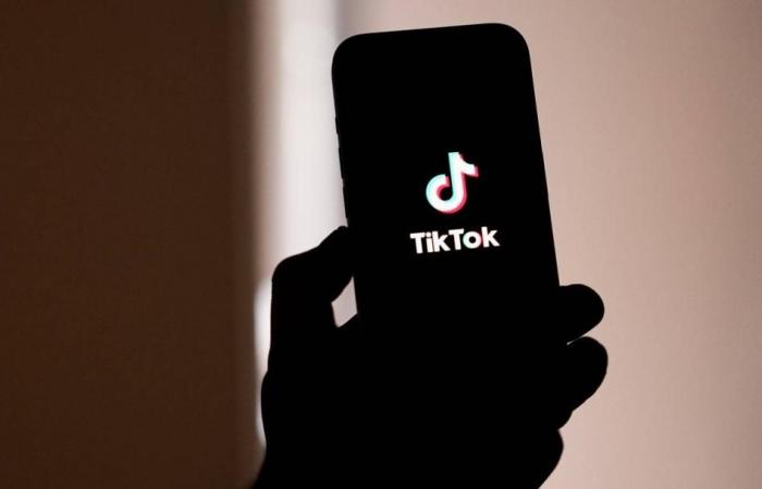 محكمة نيجيرية تأمر اثنين من مشاهير تيك توك بالزواج.. ما السبب؟