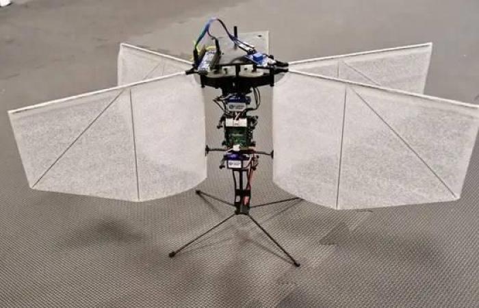 «درون» تحلق حول مصادر الضوء