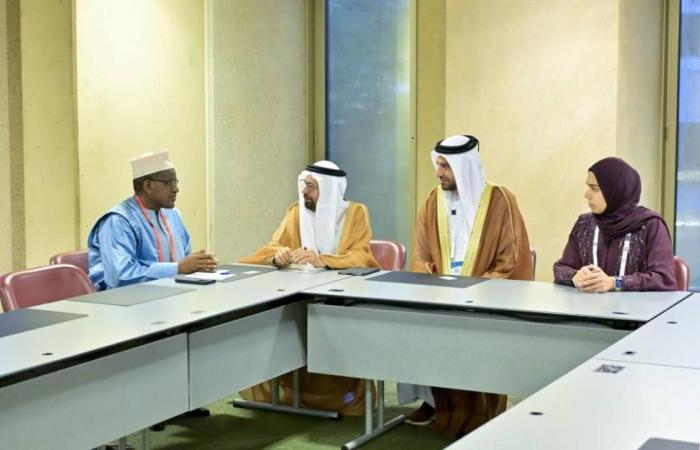 «الوطني الاتحادي» يبحث تعزيز التعاون البرلماني مع النيجر