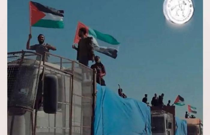 «الفارس الشهم 3» تواصل جهودها الإغاثية لسكان غزة