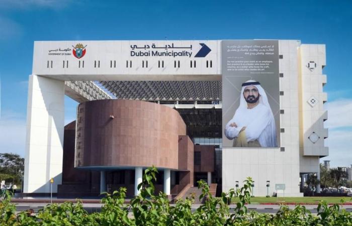 معيار تخطيطي جديد لمراكز الطفولة المبكرة في دبي
