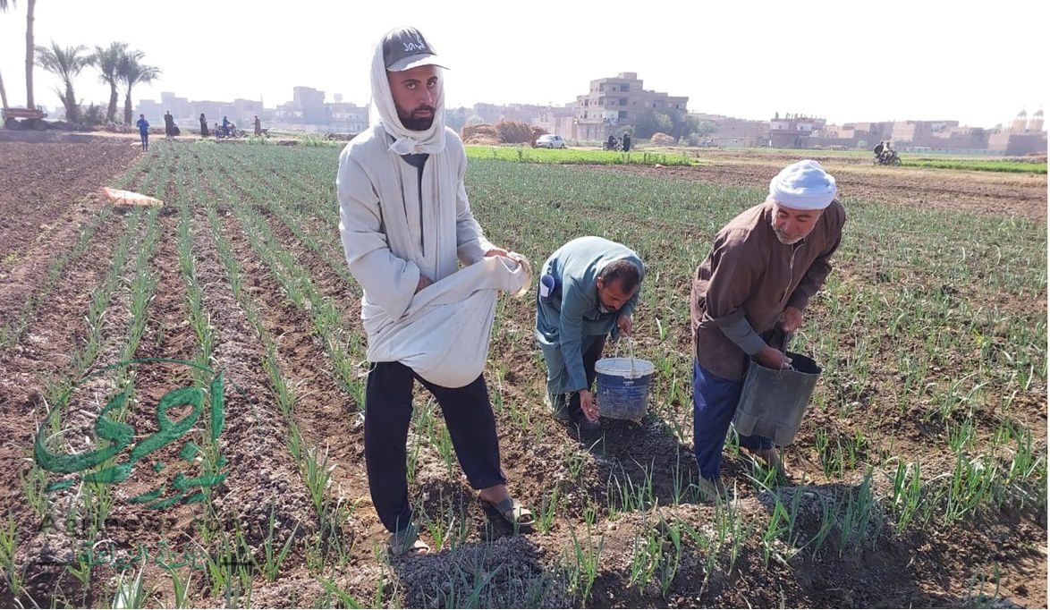 برعاية “فاروق”.. الأحد.. “الزراعة” تدشن سلسلة “قوافل التنمية ا…