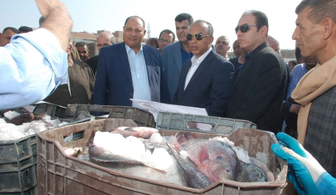 انطلاق “قوافل التنمية الشاملة” من المنيا لخدمة المزارعين والمر…