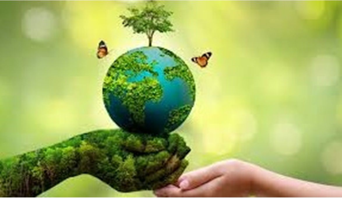 شاهد كيف يقود الشباب الثورة الخضراء : هم الطاقة والإبداع “الطر…