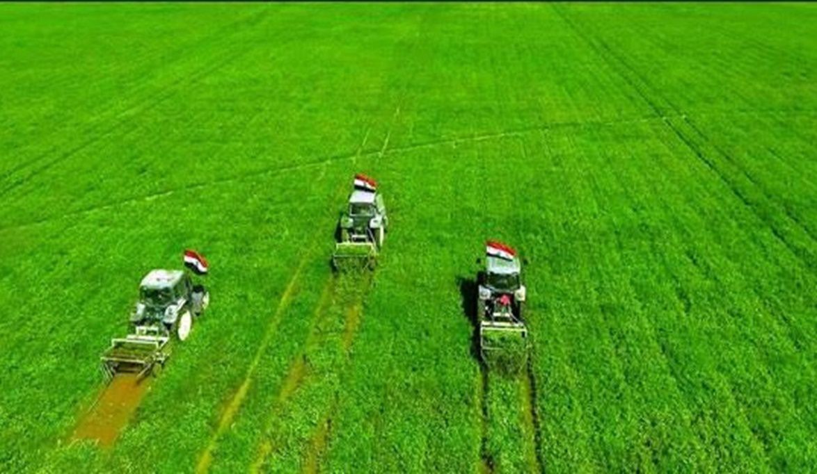 الزراعة محرك التنمية في الجمهورية الجديد…